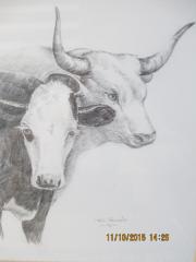 Two Cows